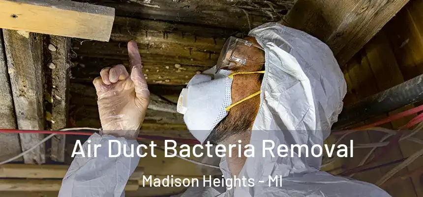  Air Duct Bacteria Removal Madison Heights - MI