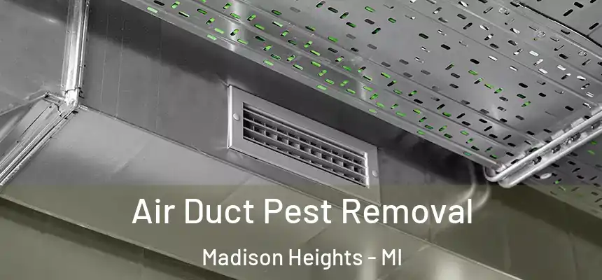  Air Duct Pest Removal Madison Heights - MI
