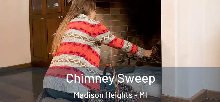 Chimney Sweep Madison Heights - MI