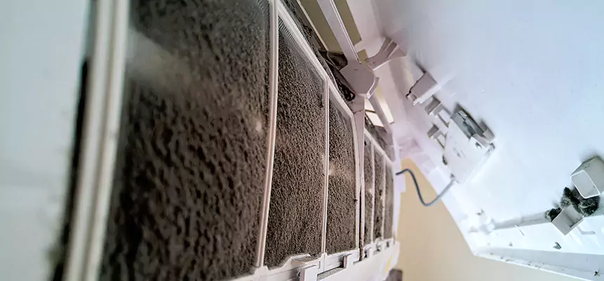 Preventive Air Duct Bacteria Removal in Madison Heights