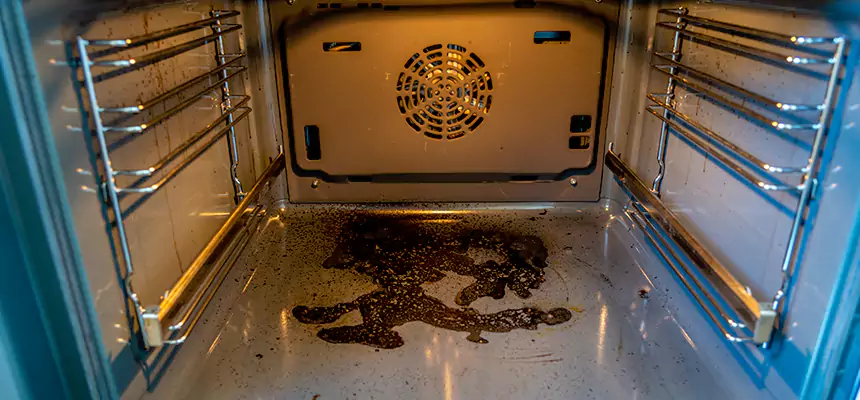 Our Dryer Vent Mold Cleaning Services in Madison Heights, MI