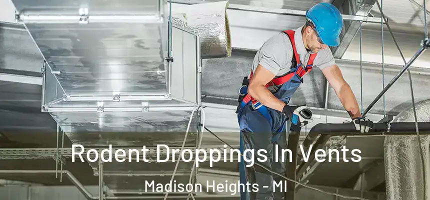  Rodent Droppings In Vents Madison Heights - MI