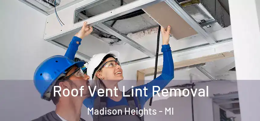  Roof Vent Lint Removal Madison Heights - MI