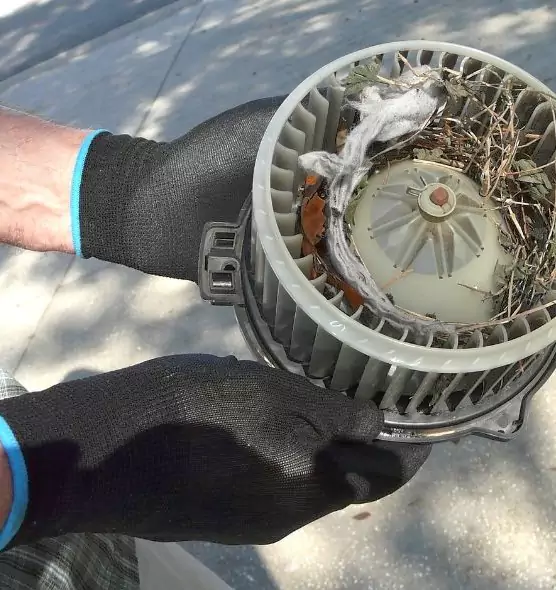 About Air Duct Mice Removal in Madison Heights, MI