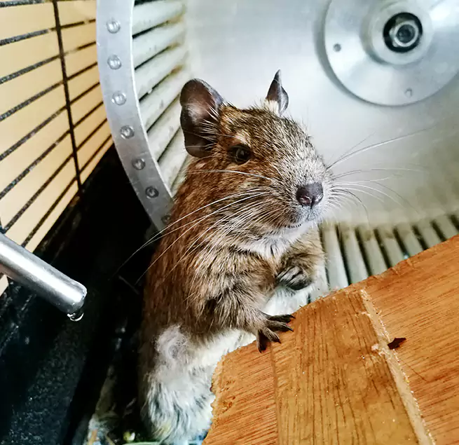 Why Homeowners & Businesses Trust Us Madison Heights, MI