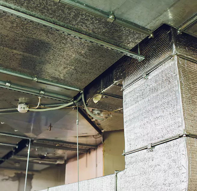 Why Homeowners & Businesses Trust Us in Madison Heights, MI?