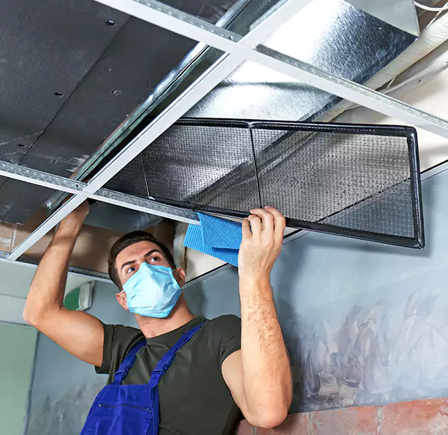 Why Homeowners & Businesses Trust Us in Madison Heights, MI?